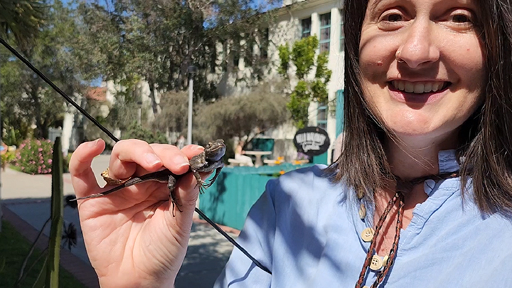 Assistant Professor of Biology Kinsey Brock with a Western fence lizard 