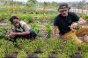 An urban farm at SDSU Mission Valley, next to the remodeled trolley plaza, cultivates a partnership between SDSU and MAKE Projects, which offers job readiness training for refugee and immigrant women.