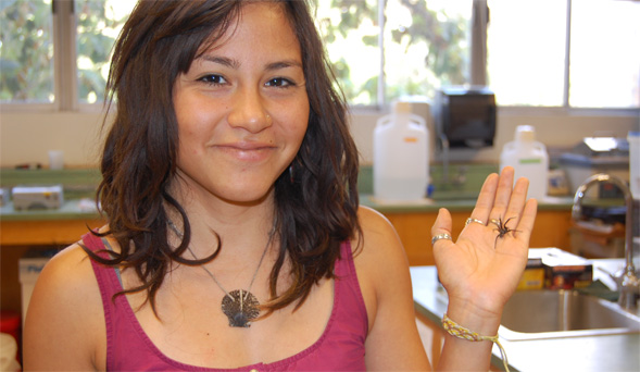 Erika Garcia holds a spider in Dr. Marshal Hedin's lab.