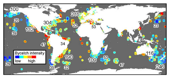 Cumulative Impacts.This figure illustrates the cumulative impacts of megafauna bycatch by region. The numbers indicate how many data sources were available in each region.