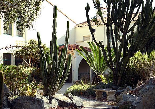 The Mediterranean Garden was created by faculty and staff in the 1990s.