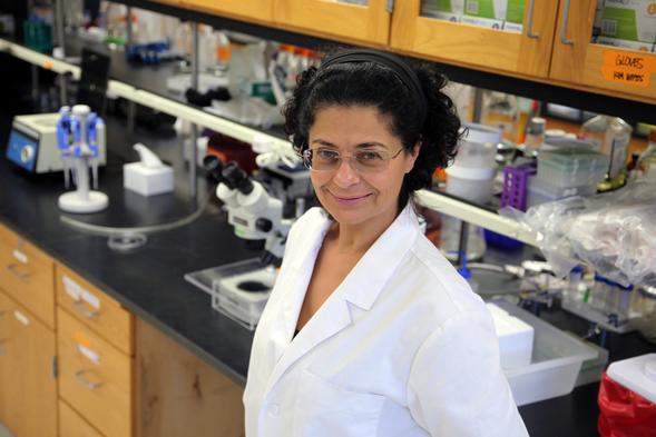 Manal Swairjo is trying to figure out the inner workings of transfer RNA. (Photo: Jeneene Chatowsky)