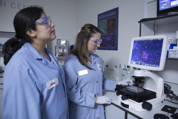 CIRM interns, Alejandra Mendoza and Nicole Wetton, are using a fluorescence microscope to image stem cells immunostained with the neuronal marker TUJ1. (Photo credit: Thermo Fisher Scientific)