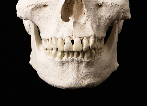 Dental remains document ancient lives for those who know how to interpret them.