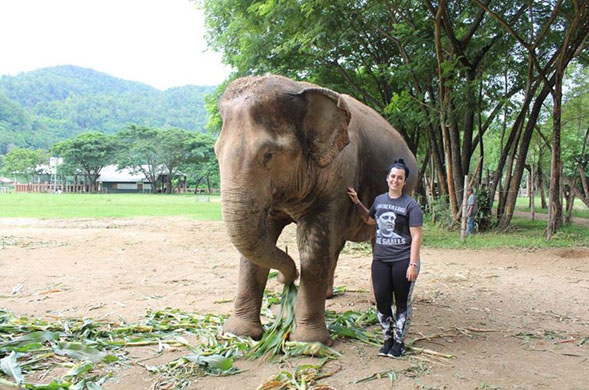 Senior Tori Parker stands next to an elephant in Thailand. (Photo: Tori Parker)