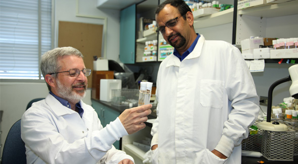 SDSU biologists Sanford Bernstein (left) and Girish Melkani