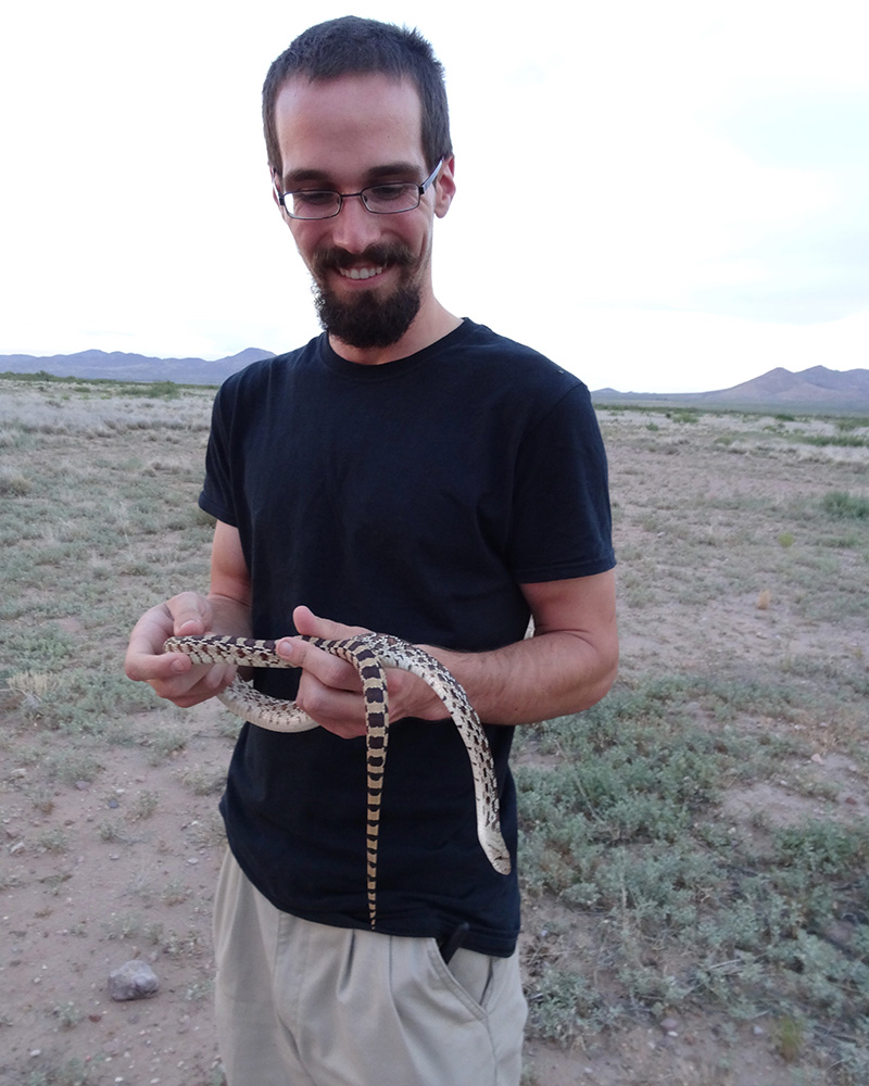 Handling Snake