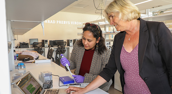 Conservation geneticist Shaili Johri (left) and marine microbial ecologist Elizabeth Dinsdale sequenced the genome of the silky shark.