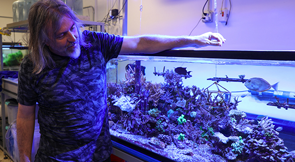 SDSU viral ecologist Forest Rohwer was chosen for a Moore Foundation award to research how coral reefs adapt to climate change. Photo: Scott Hargrove