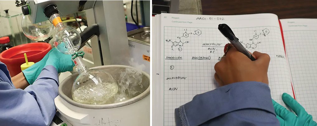 Side by side images showing Alyssa Gomez using a a rotary evaporator on the left and writing in her her lab notebook on the right.