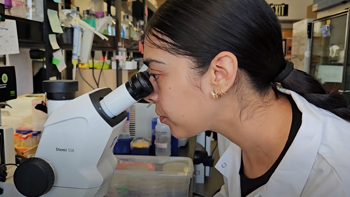 Yesenia Rodriguez Reyes performs work in the lab at SDSU.