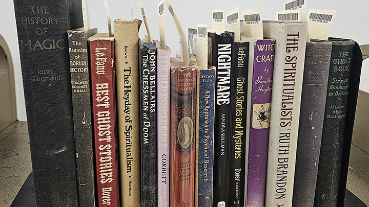 A row of books from the Edward Gorey Personal Library at San Diego State University Library.