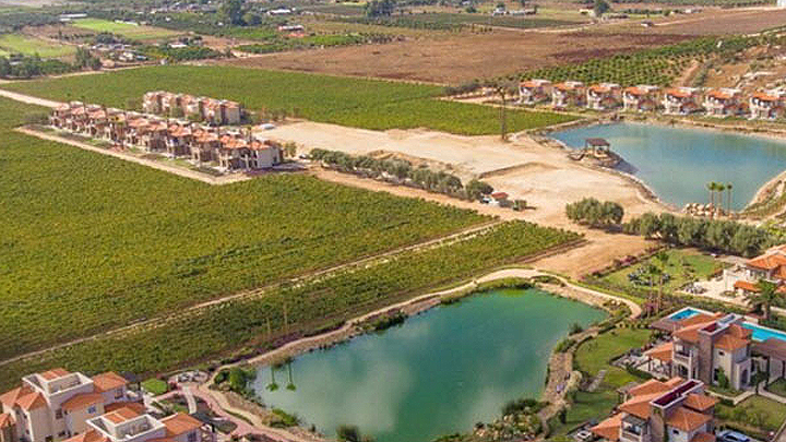 Aerial view of Valle de Guadalupe.