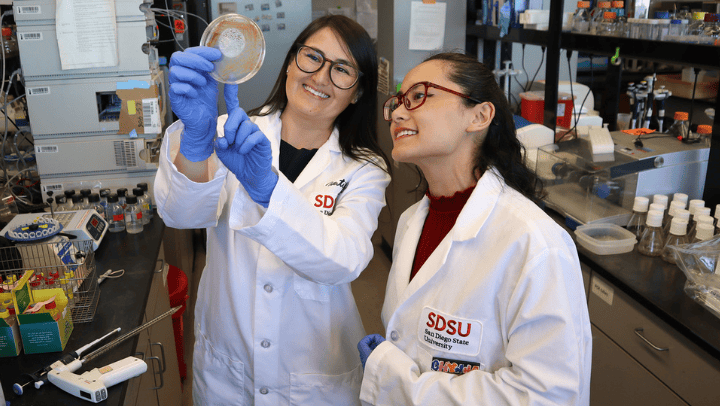 Two SDSU researches are inside a lab observing a petri dish.