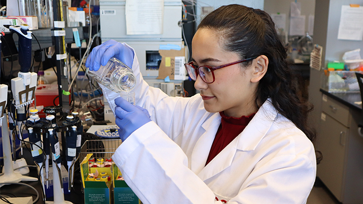 A younbg woman in a white lab coat and wearing blue latex gloves is pouring a substance from one container into another in a laboaratory.